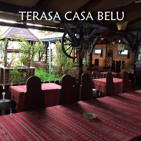 Guest house Casa Belu 3*